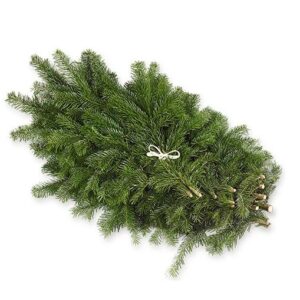 Branches de sapin naturel