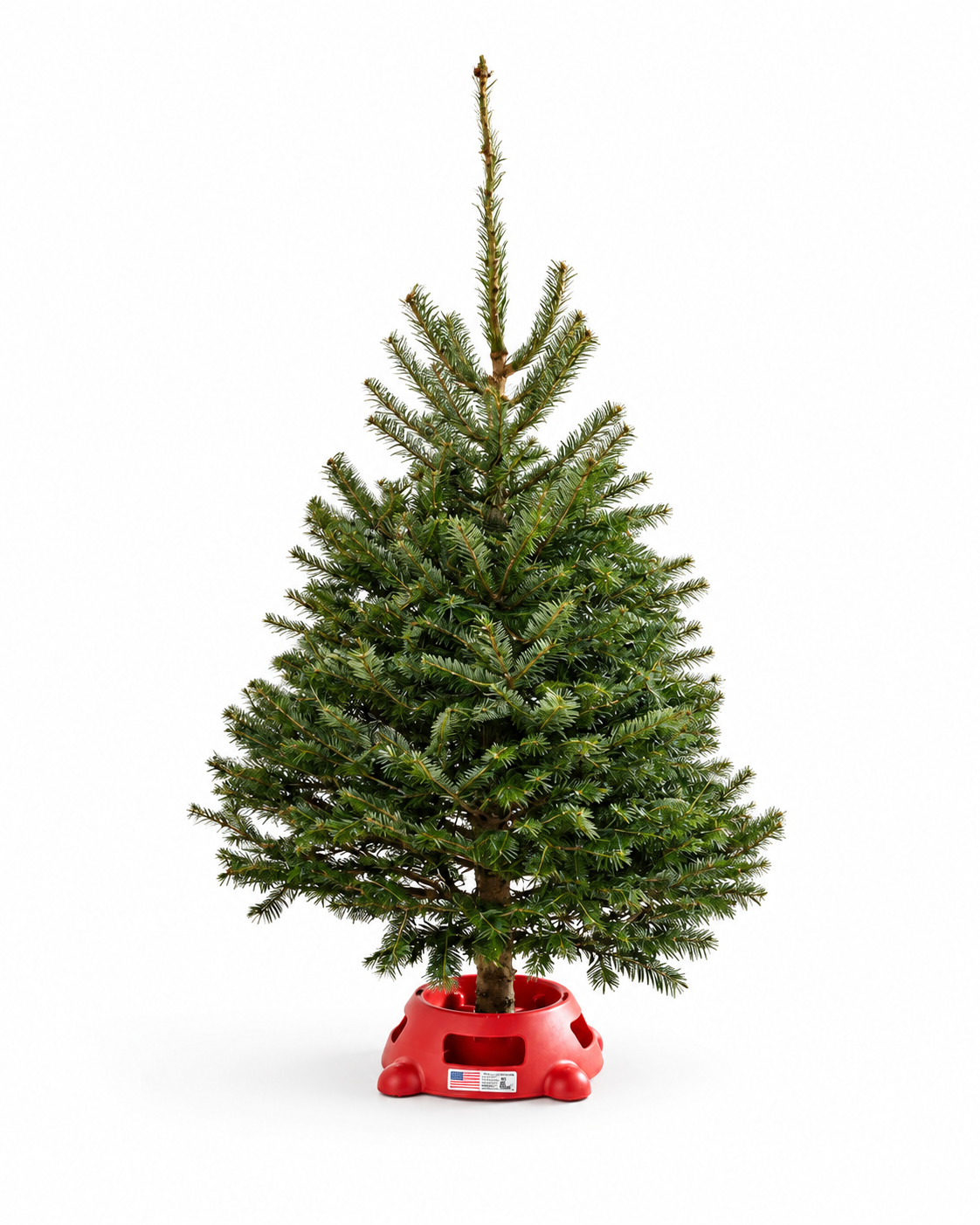 Sapin Table Top